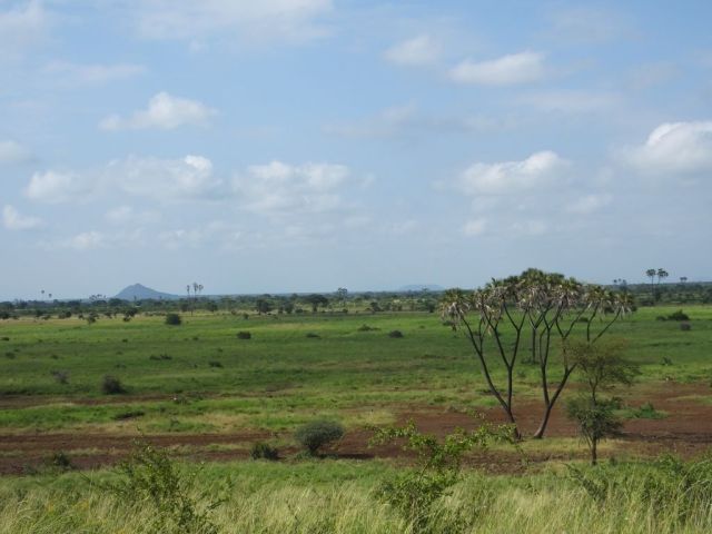 This was our view while eating breakfast
