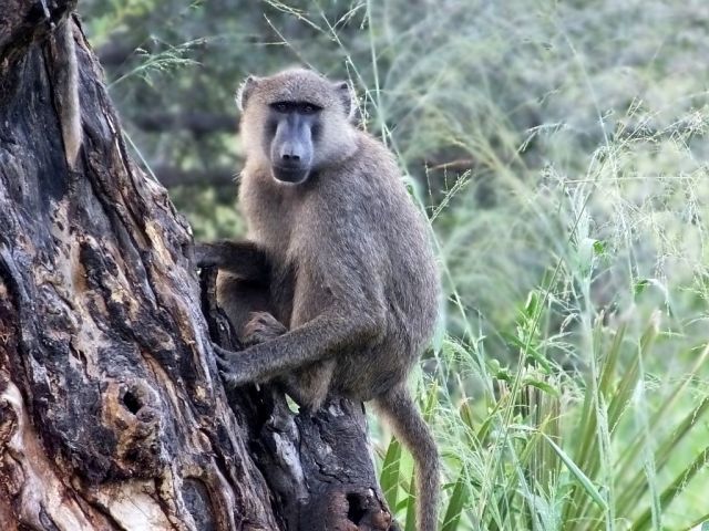Warming up in the early morning sun