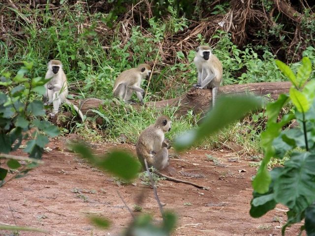 Our breakfast entertainment