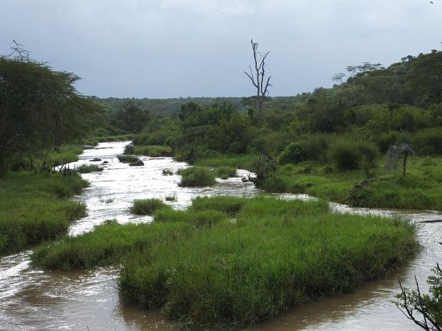 The river that runs through the ranch the day we arrived