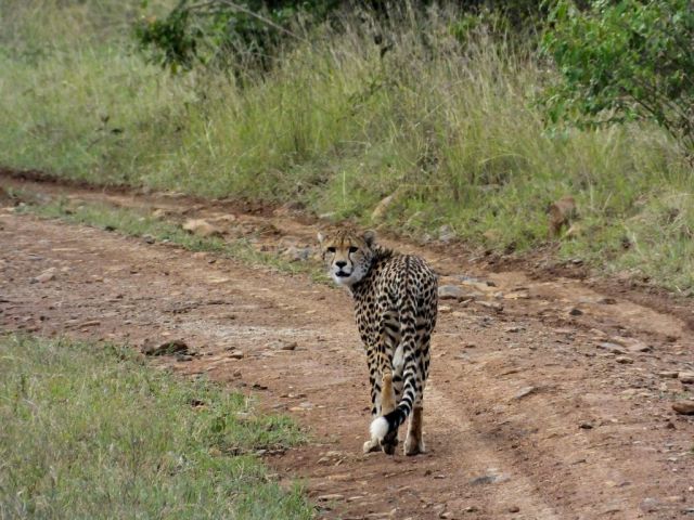 Keeping an eye on us