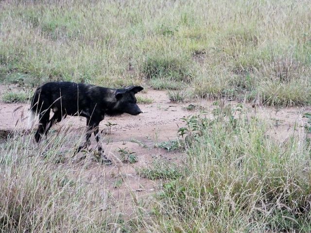 Preparing to move on