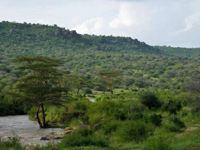 What a beautiful view