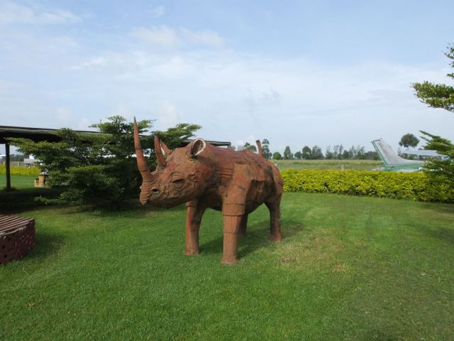 A clever rhino sculpture in front of the cafe