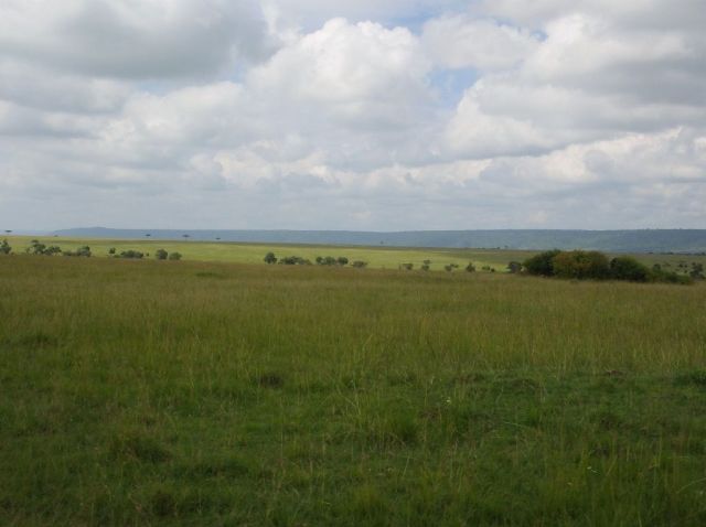 The Mara