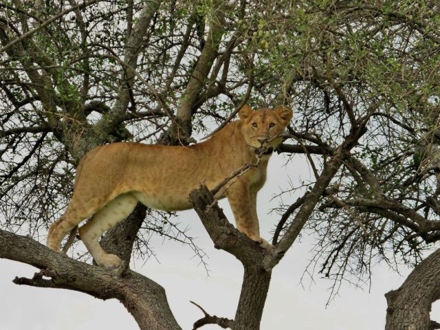 How about this stance