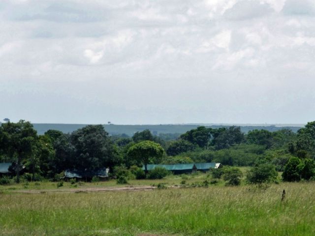 Our first look at Offbeat Mara camp