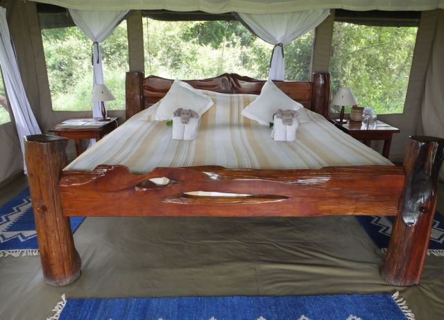 How cute are those towel elephants?