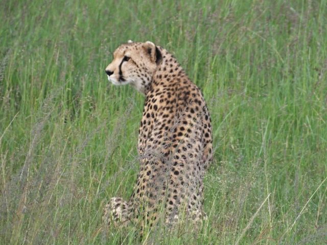 At least Amani sat up giving us a little better view