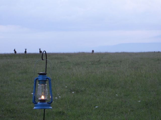 Topi look on as we enjoy sundowners
