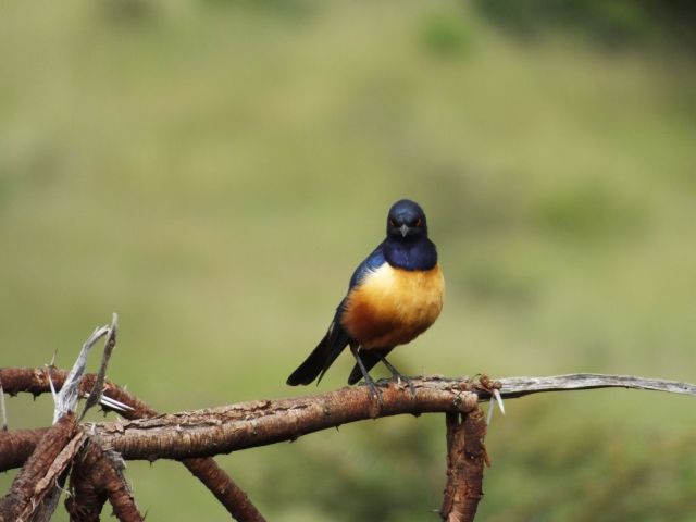 I don't know what we did but we are sorry!!