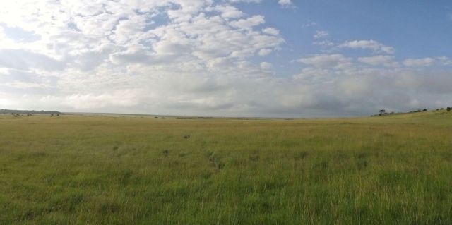 A view looking down the valley