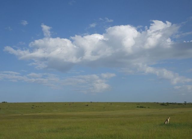 Putting Amani in perspective to the landscape