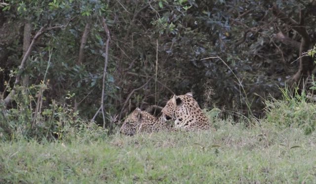 Taking a rest in a low spot