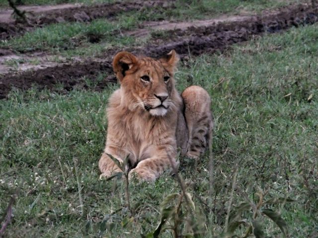 Frank or Jesse looking lost
