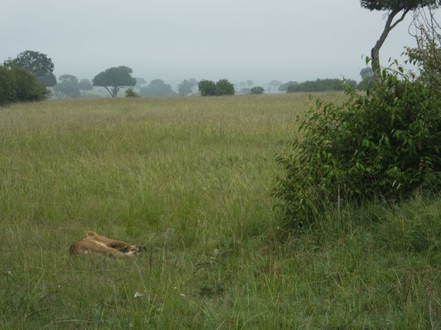 Sleeping in the open