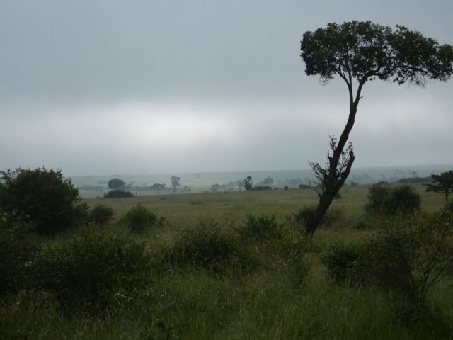 Sun trying to burn off the fog