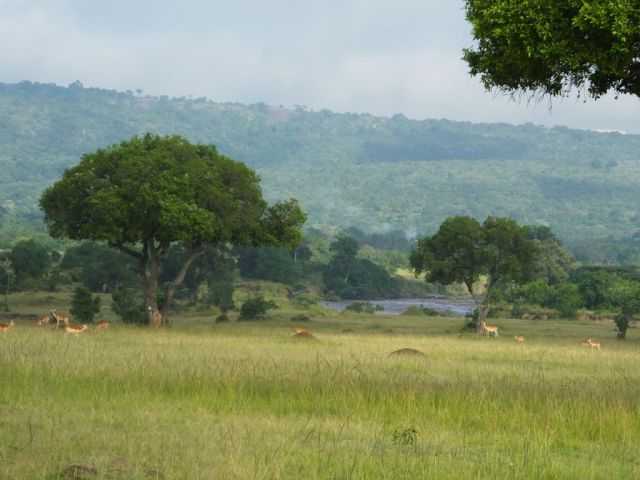 The Mara River in the distance