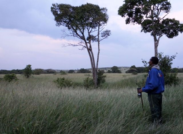Wilson gazing out to where the lioness was. It is really darker as I set my camera on a high iso.