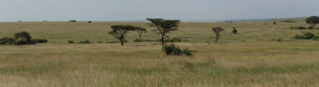 Paul took this panoramic shot from our breakfast spot.