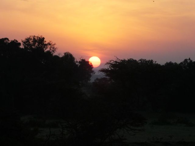 Our last Mara sunrise
