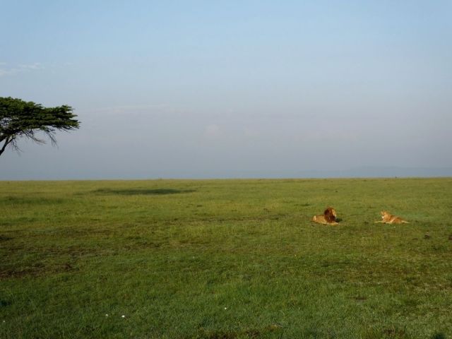 Jesse and one of the lioness of Offbeat Pride