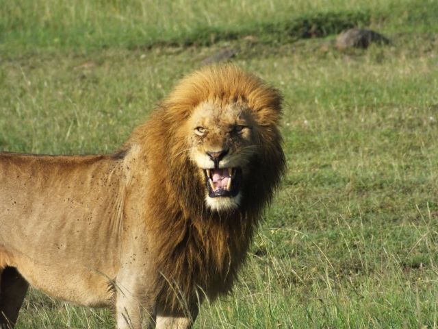 Jesse with the same reaction as Frank when he smells the grass near the kill