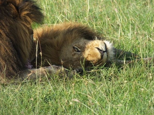 Hey brother, what's up