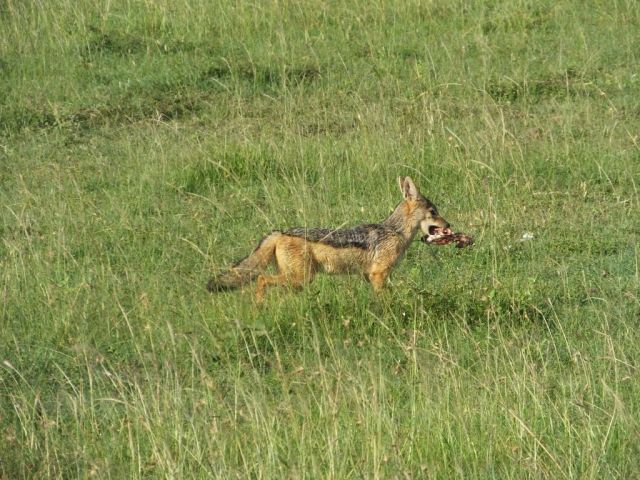 Persistence pays off