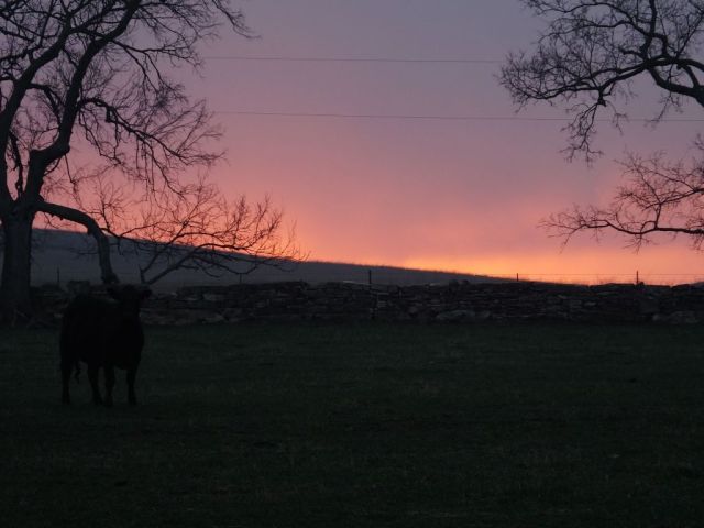 Prairie fires made for intense sunsets!