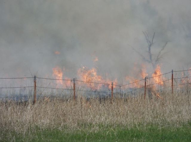 Even after soaking rains the grass burned hot and the flames were high.