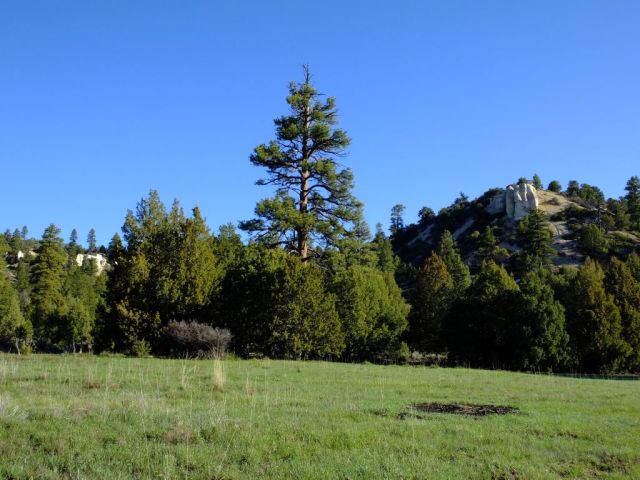 The landscape on either side and behind the house. Nice!