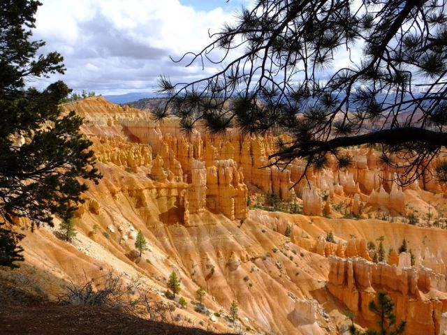 The first photo I took when we walked to the rim of Bryce Canyon