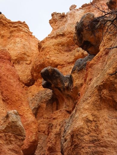 These rock protrusions look like gargoyles