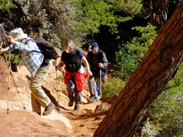 Doris and Lois navigating up the Canyon Overlook trail