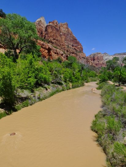 Muddy river as we begin our hike to Emerald Pool