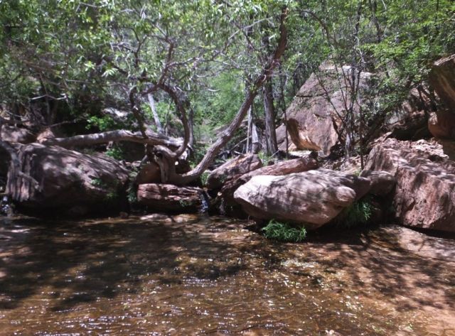 The infamous Middle Pool