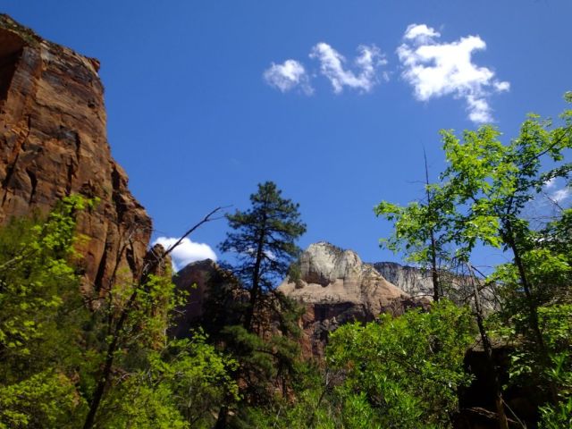 This was worth the crowded hike.