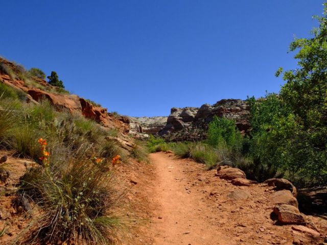 A portion of the trail