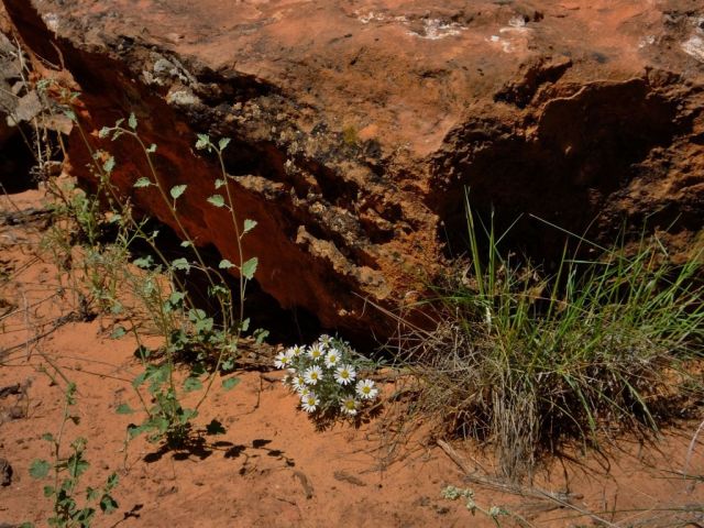 I loved this arrangement by Mother Nature