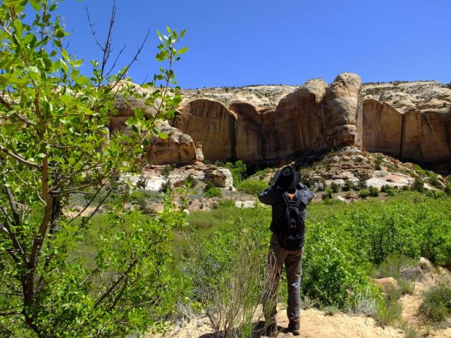Paul looking for the famous petroglyph