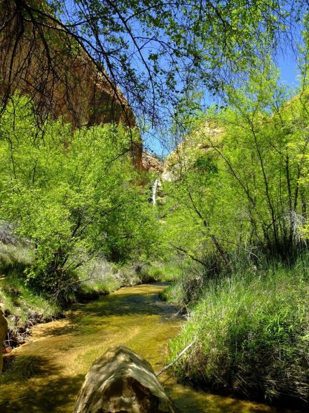 Our first glimpse of the falls
