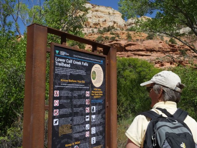 Joy reading the Lower Calf Creek Falls Trail sign.