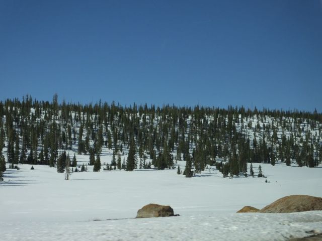 Snowy photo taken from the car
