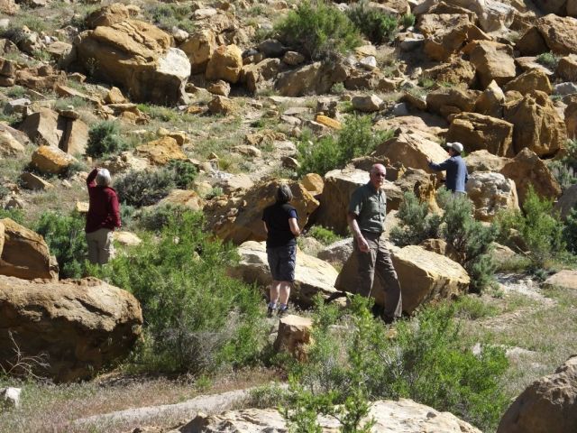 The Millers looking high and low for ancient dinosaur tracks