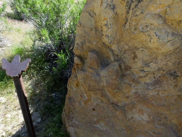 The clearest track in the park with the metal track showing you what to look for in the rock