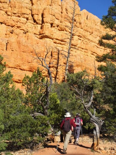 Hiking Birdseye Trail