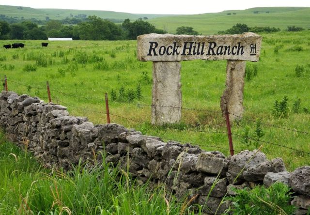 Photo taken in mid June