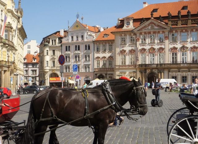 I found the horse and man on the Segway an amusing contrast.