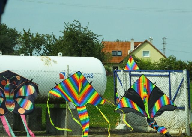 Colorful kites for sale